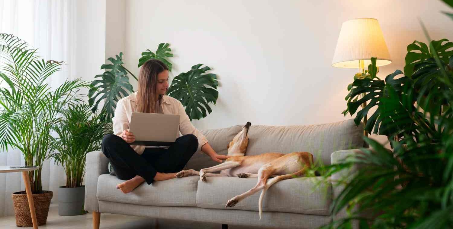 Healing Home Environment