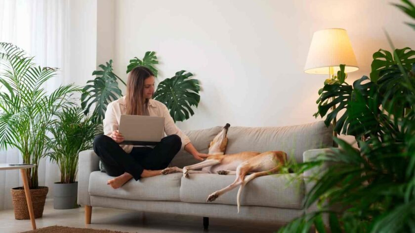 Healing Home Environment