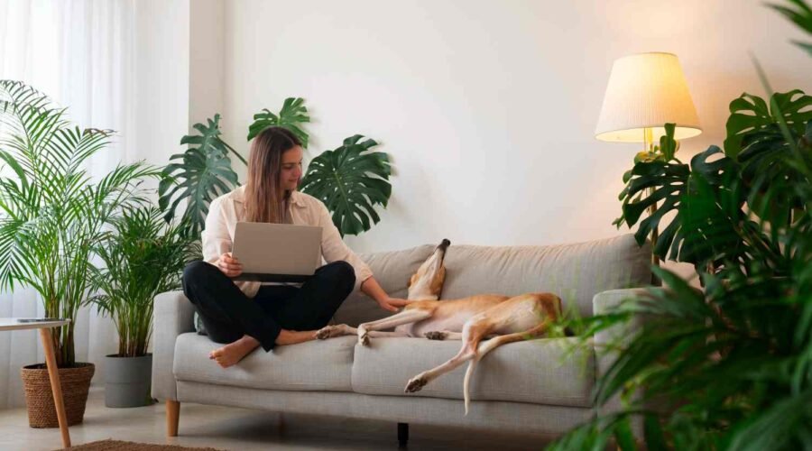 Healing Home Environment