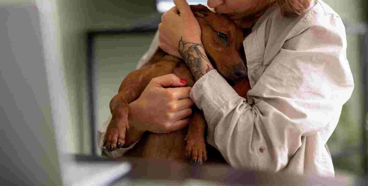 Animals and Trauma Recovery