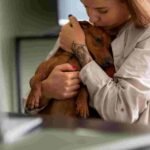 Animals and Trauma Recovery