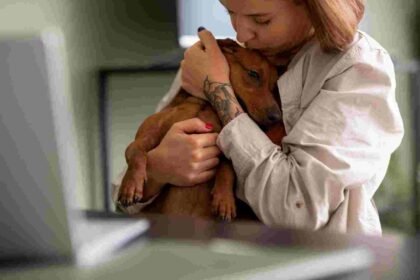 Animals and Trauma Recovery